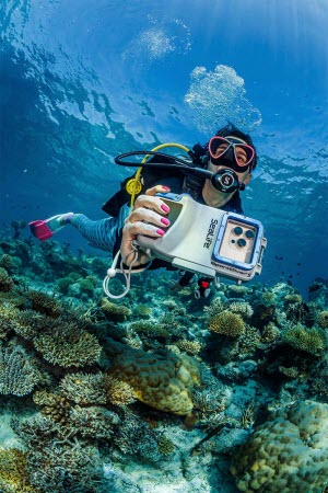 BELOW_SURFACE_TOBIAS_FRIEDRICH_20250304__53I1340-Enhanced-NR__1_W